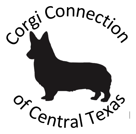 Corgi Connection of Central Texas – Pembroke Welsh Corgi Puppies Raised ...