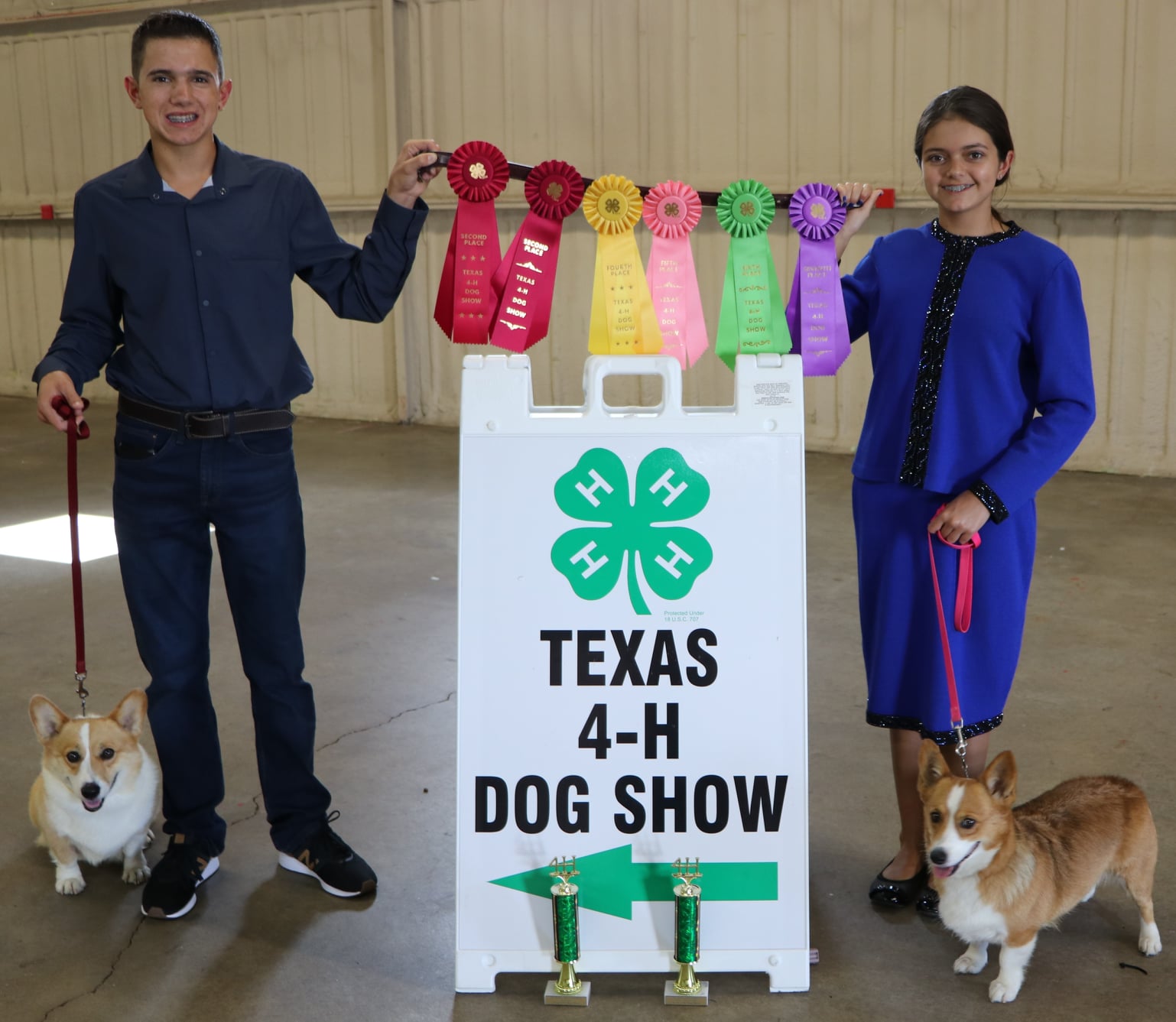 4H Dog Show – Corgi Connection of Central Texas